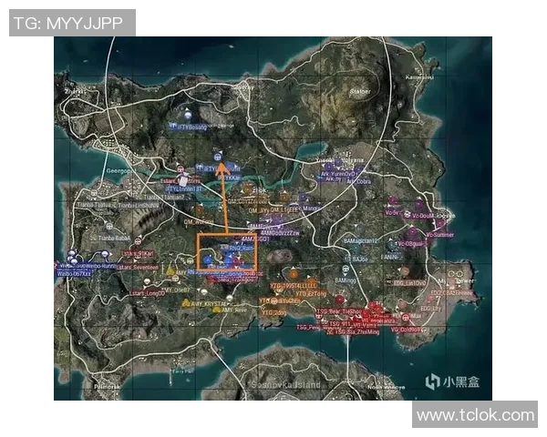 CSGO专题深入分析RNG战队在比赛中的心理素质与应对策略