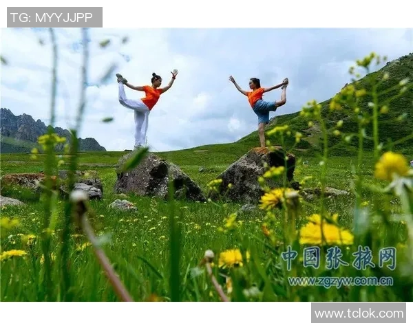 南京飞盘队的节奏革新探索与实践引领运动新风潮